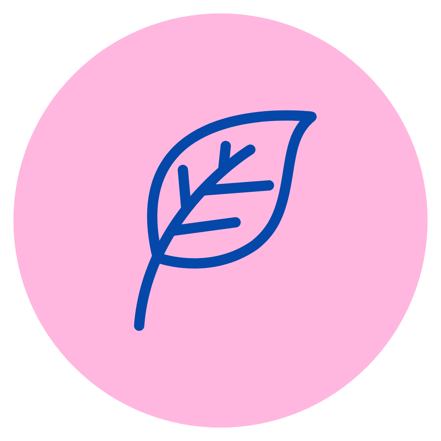 Eco-friendly packaging