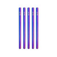 Stainless Steel Smoothie Straw Packs