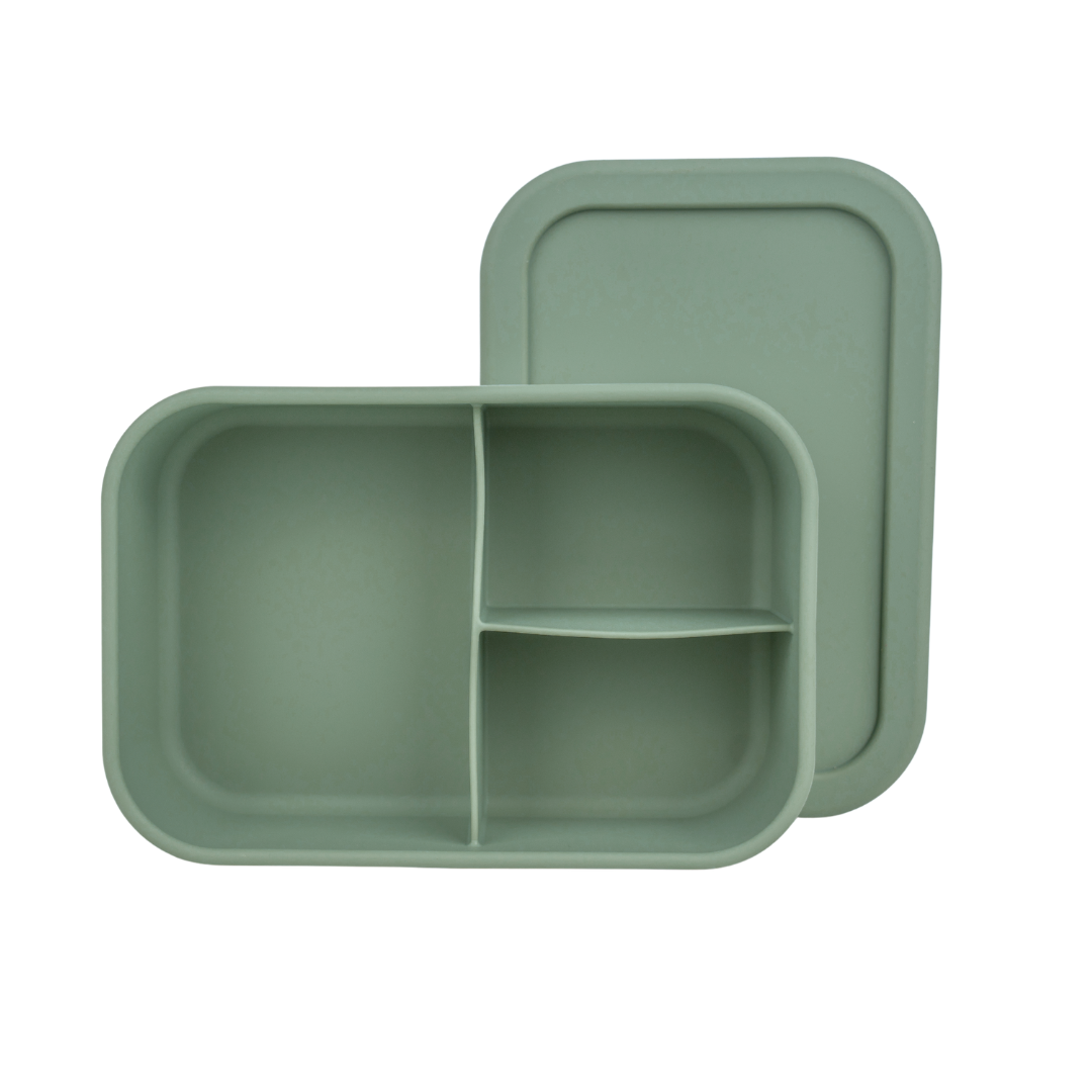 Sage bento box with lid removed, showing three interior compartments for easy food organization